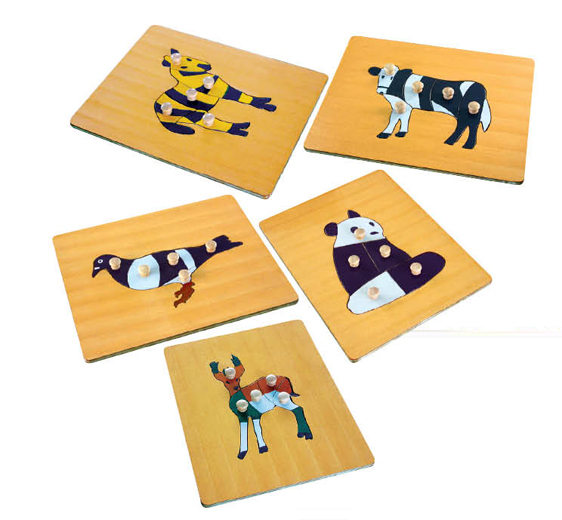 認(rèn)知圖形插板（木制圖形插板）