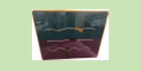 推動(dòng)式小魚聲光互動(dòng)游戲箱