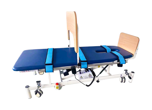 電動(dòng)直立床